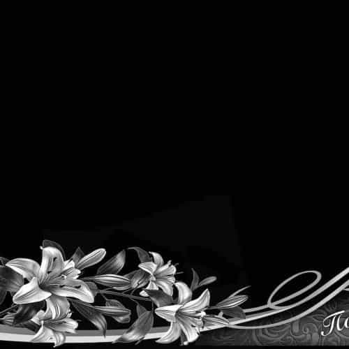 Оформление 17