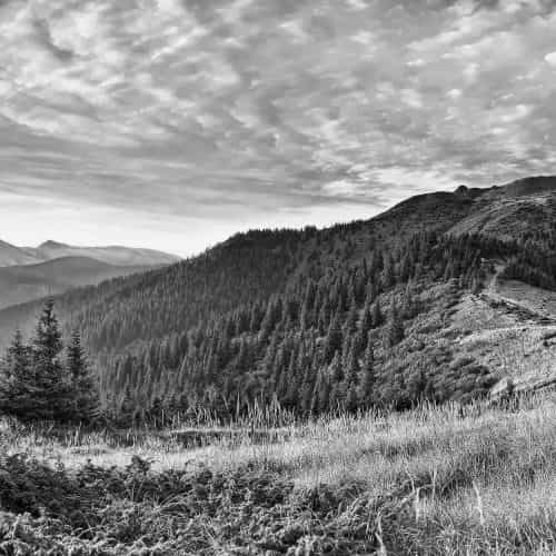 Оформление 66