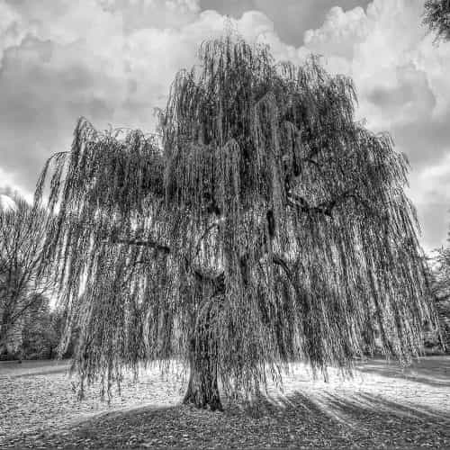 Оформление 65