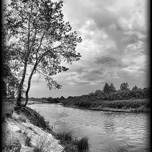 Оформление 66