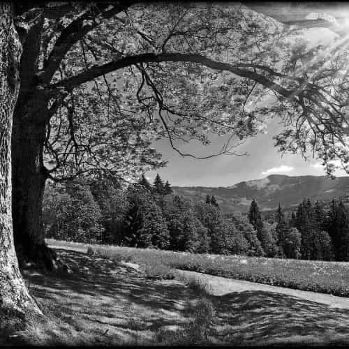 Оформление 71