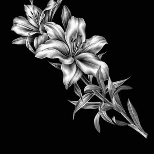 Оформление 54