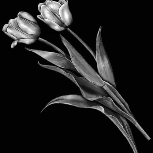 Оформление 51