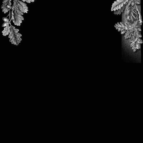 Оформление 5