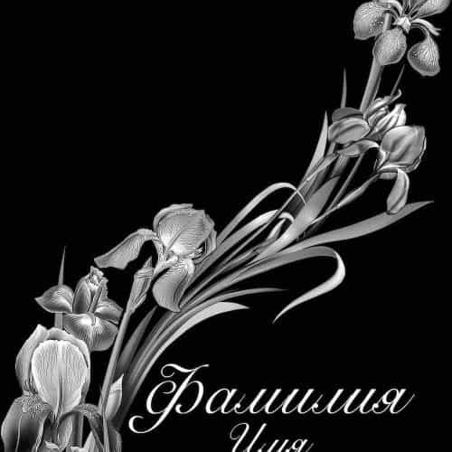 Оформление 10