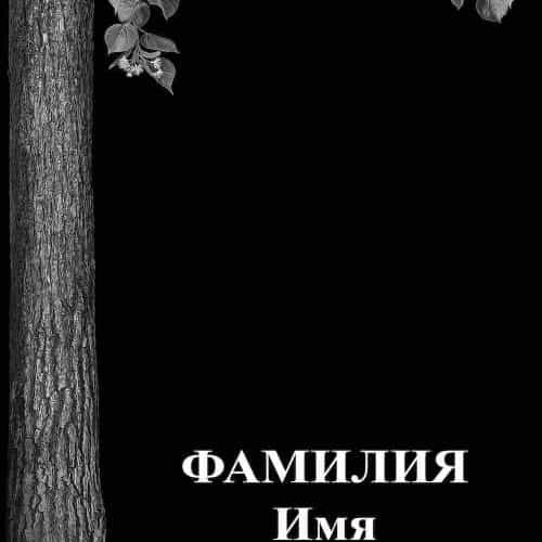 Оформление 14