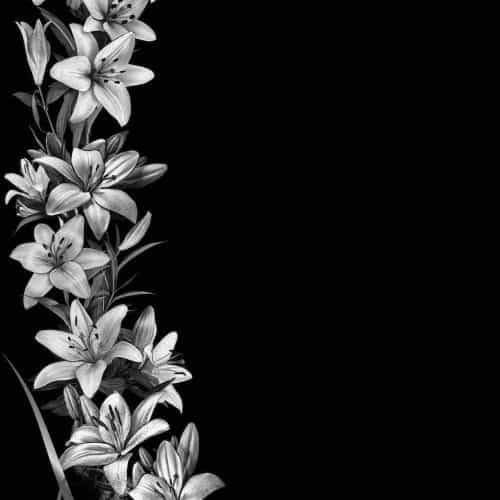 Оформление 12