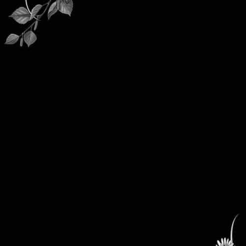 Оформление 3