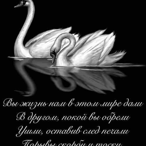 Оформление 40