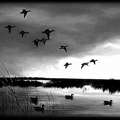 Оформление 74