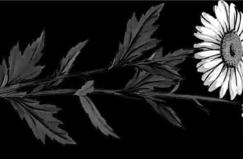 Оформление 47