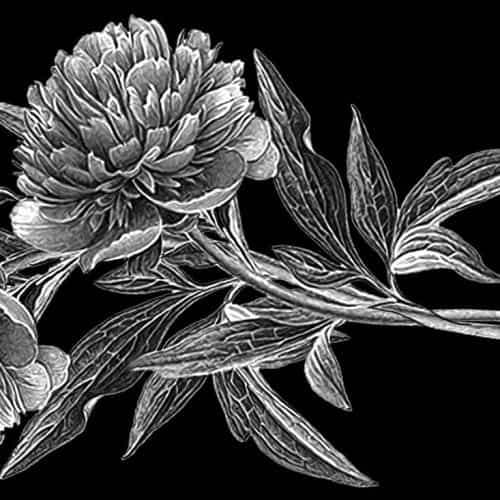 Оформление 60