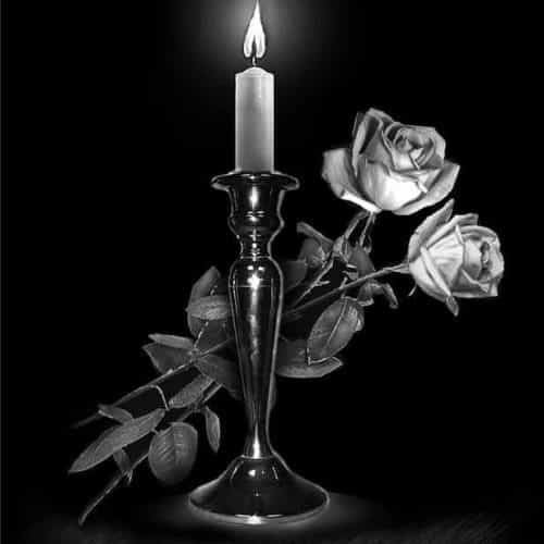 Оформление 49