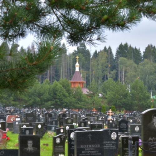 Перепечинское кладбище
