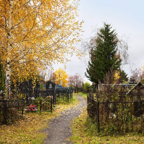 Кладбище Губцево