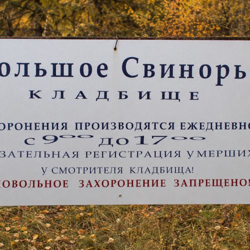 Большое Свинорье кладбище - изготовление памятников 33 Кладбище Большое Свинорье - изготовление памятников